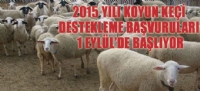 2015 YILI KOYUN KE DESTEKLEME BAVURULARI 1 EYLLDE BALIYOR