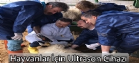 Hayvanlar in Ultrason Cihaz