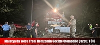 Malatya’da Yolcu Treni Hemzemin Geçitte Otomobile Çarptı: 1 Ölü