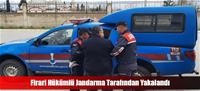 Firari Hükümlü Jandarma Tarafından Yakalandı