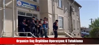 Organize Su rgtne Operasyon: 6 Tutuklama
