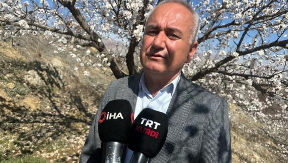 Kayısıda Şu An Çiçeklenme Dönemi Çok Güzel İlerliyor.