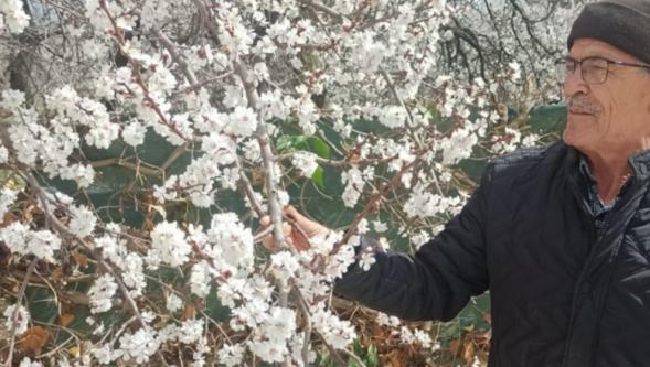 Solmaz, Eğer Hava Esintili Olursa Donun Etkisi Azalabilir.