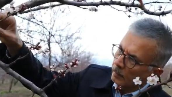 Büyük Bir Afet Yaşadık Ama Hayat Devam Ediyor