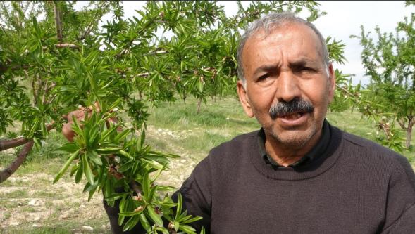 Don Burayı Es Geçti..