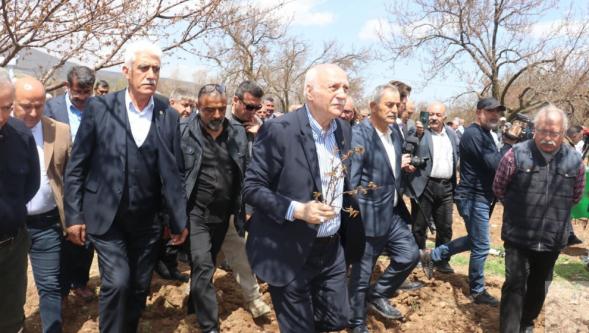 Kayısıda Yüzde Yüzlere Varan Zarar Tespit Ettik