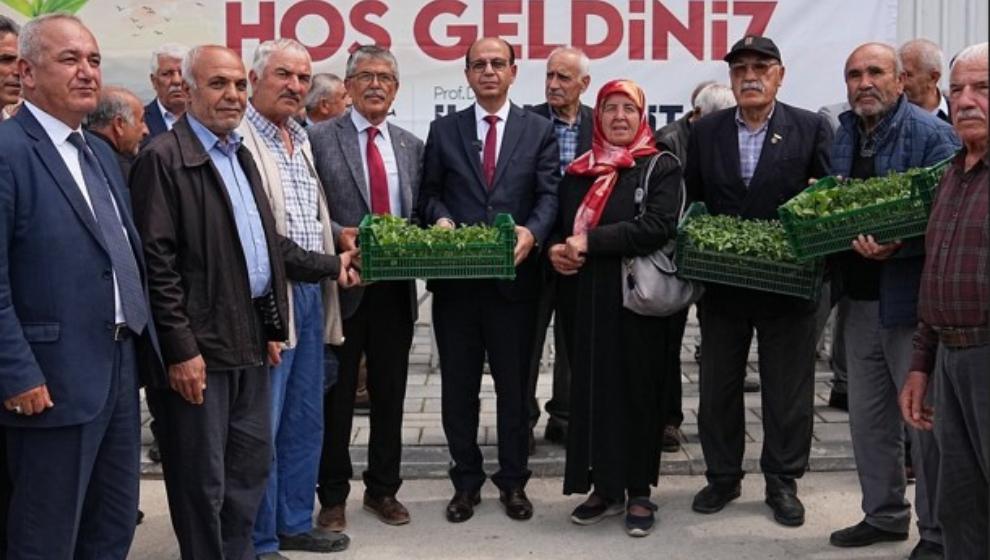 250 Bin Sebze Fidesi Ücretsiz  Dağıtıldı
