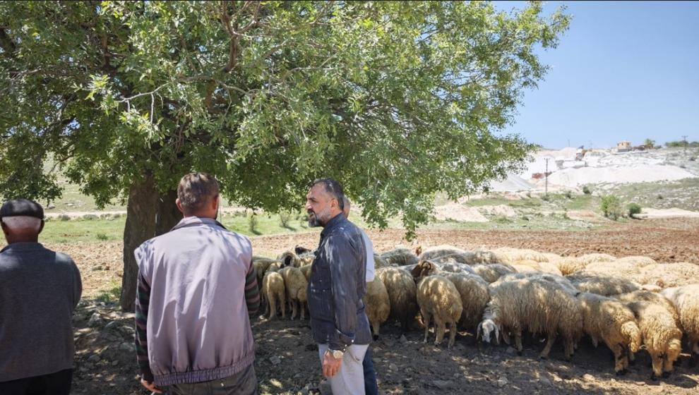 Bahar Göçü Başladı