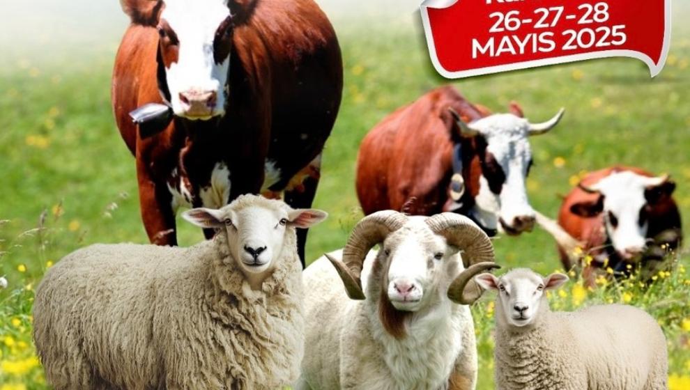 Kurban Bayramı Öncesinde Kurban Kesimi  Kursu