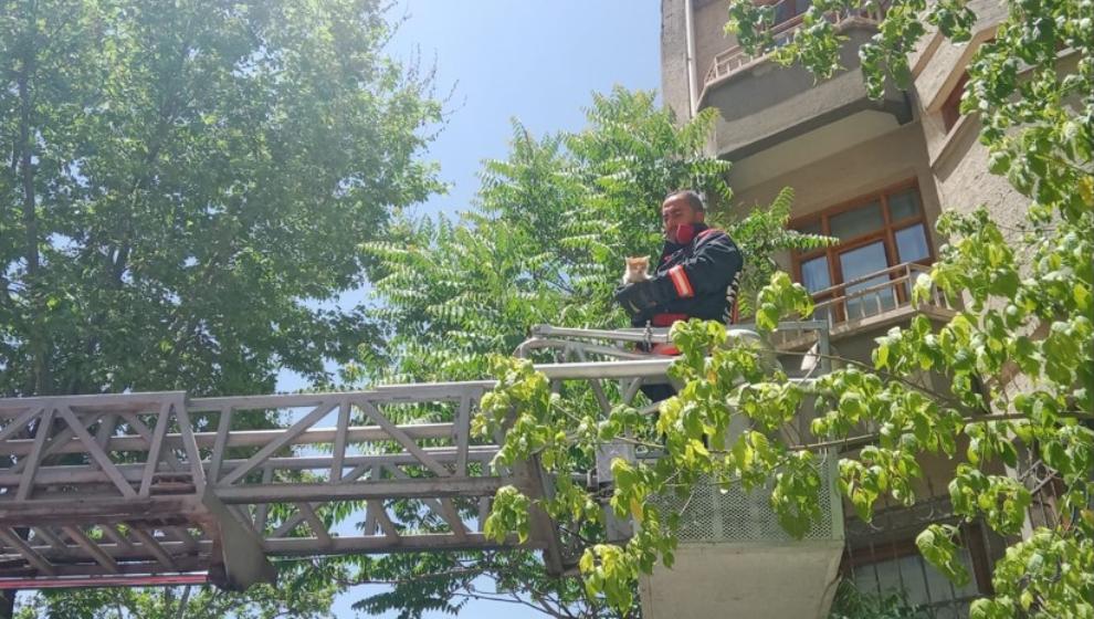 Yavru Kediyi İtfaiye Kurtardı