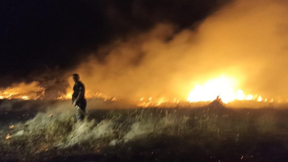 Akçadağ’da Bahçe ve Sazlık Yangını: 25 Kayısı Ağacı Zarar Gördü..