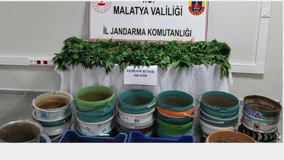 Jandarma'dan Uyuşturucu Operasyonu..