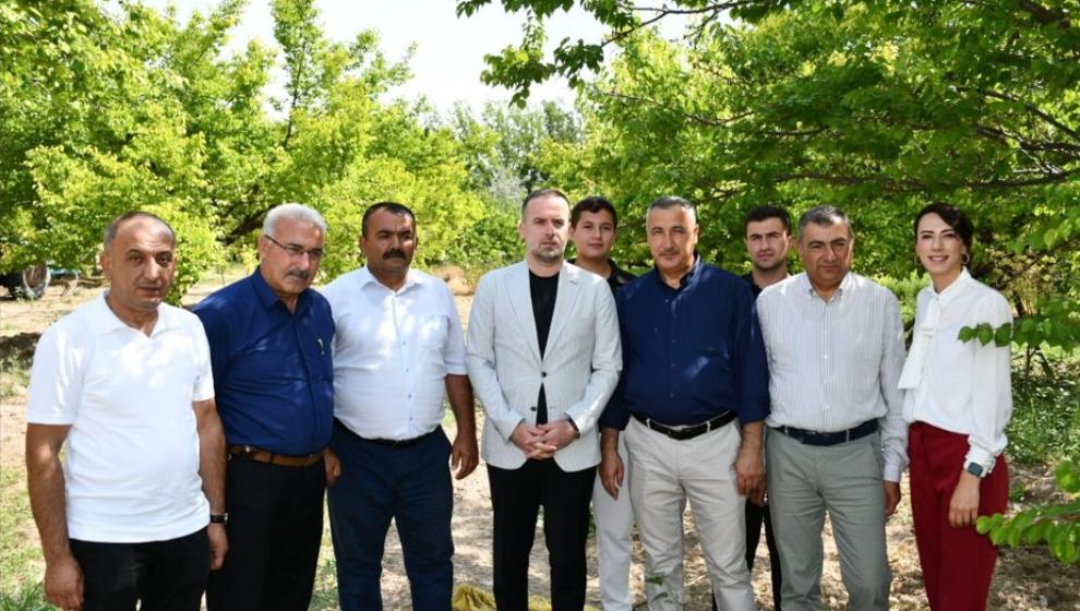 Kayısı İçin Acil Destek Çağrısı