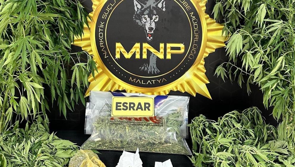 12 Kök Kenevir Bitkisi Ele Geçirildi..