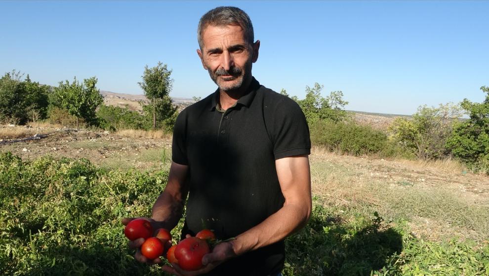 Üretmek Her Zaman Önemli.