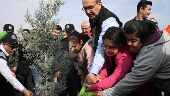 Battalgazi İlçesinde 2 bin 200, İl Genelinde ise 733 bin 650 Fidan Dikildi