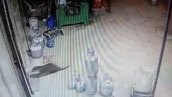 Dükkanının Güvenlik Kamerasına  Takılan Sürpriz..