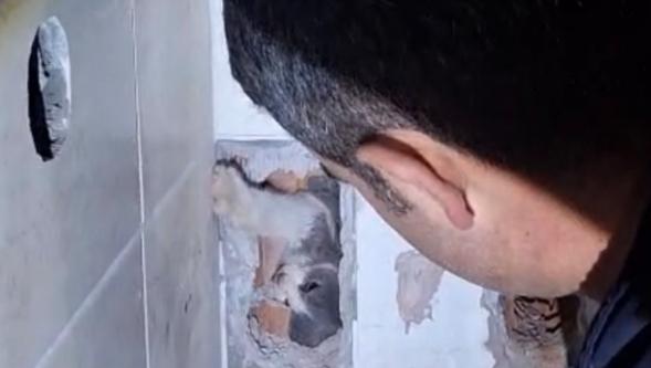 Mahsur  Kalan Kediyi  İtfaye  Kurtardı.