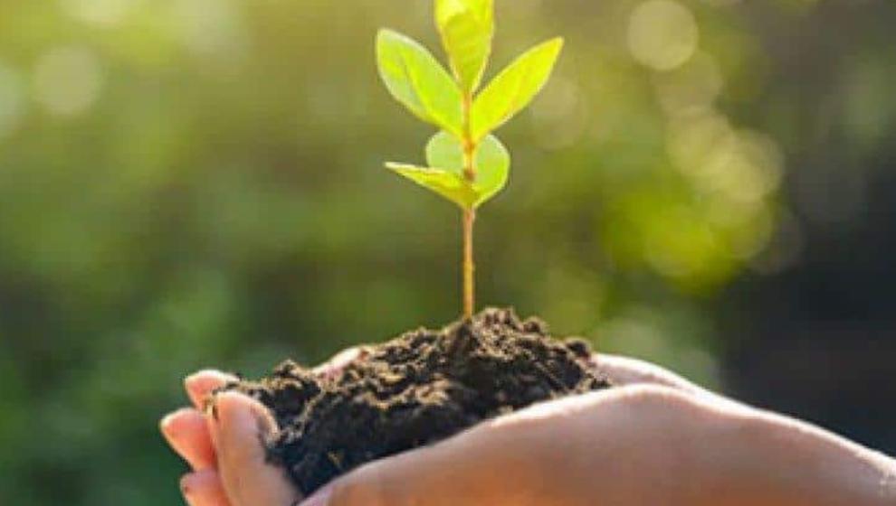 Beydağı'nın Eteklerine Nefes...