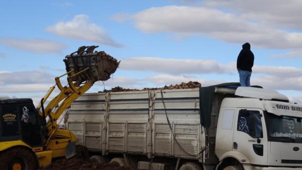 Şekerde  Yüksek Verim..