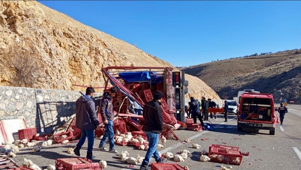 Yüzlerce Tavuk Telef Oldu