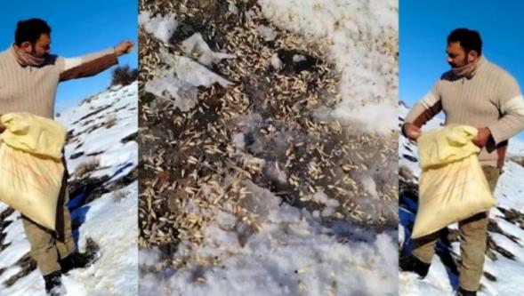 Duyarlı Vatandaştan Doğaya Örnek Davranış..