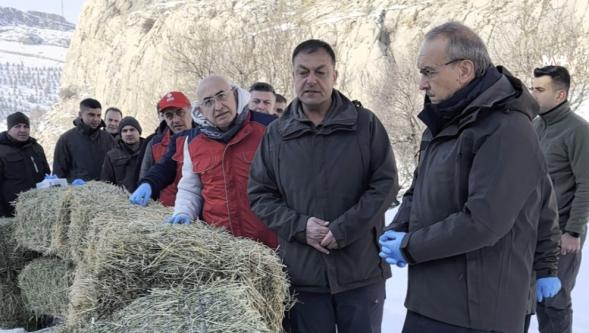 Kış Şartlarında Zorlanan Yaban Hayvanları İçin Doğaya Yem Bırakıldı