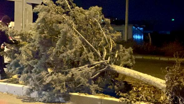 Malatya'da Fırtınalı Gece