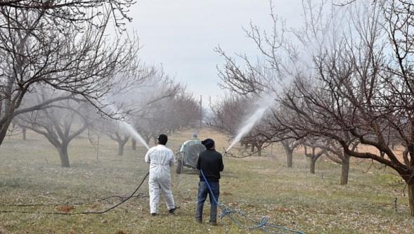 Kayısı Üreticilerine İlkbahar Uyarısı.