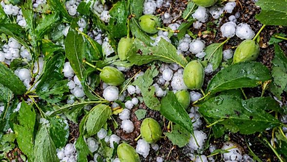 "Bir Yıllık Emeğin Dakikalar İçerisinde Yok Olması Hepimizi Derinden Üzmüştür."