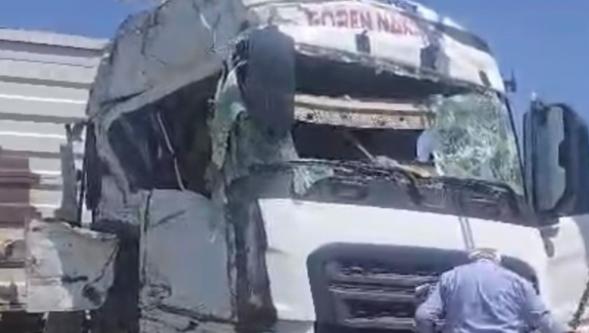 Koyun Yüklü Tır Devrildi: 100 Hayvan Telef Oldu.