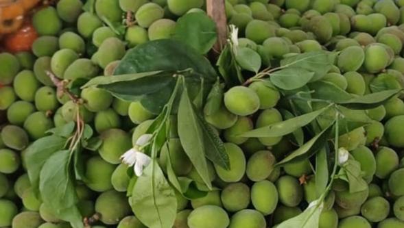 Malatya'da Çağla  Fiyatı 200 TL'yi Gördü