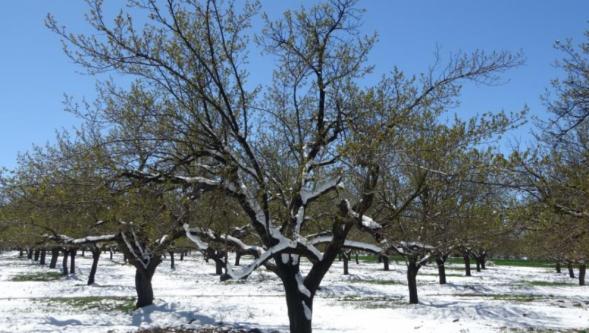 Yazı Beklerken Akçadağ'da Kar Tedirginliği..