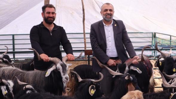 "Görmeden Hayvan Satın Almayın"