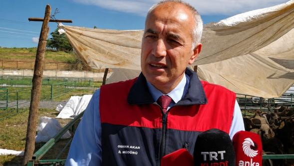 "Kurbanlık Sayısında Sorun Yok”