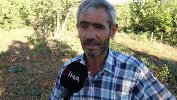 Dünyanın En Korkusuz Hayvanı Bal Porsuğunu Tek Darbeyle Bayılttı
