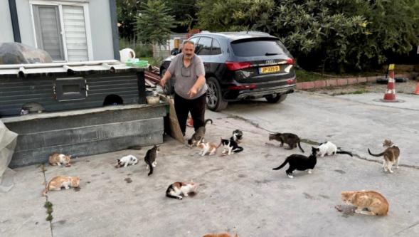 “Bu Canlar Hepimizin Sorumluluğu”