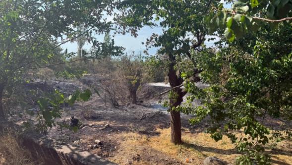 Malatya'da Peş Peşe Anız Yangınları
