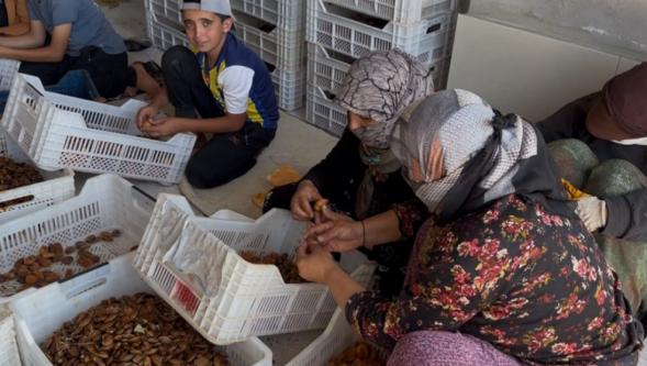 Üreticiye Çağrı: “Maliyetin Altında Satmayın”
