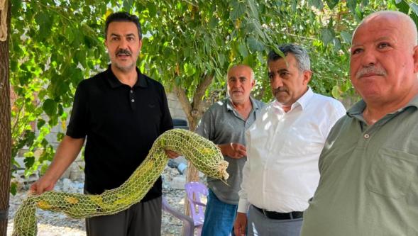 Bilal Yıldırım “Kayısı Üzerinden Değil, Kayısının Geleceği Üzerinden Yarışalım".