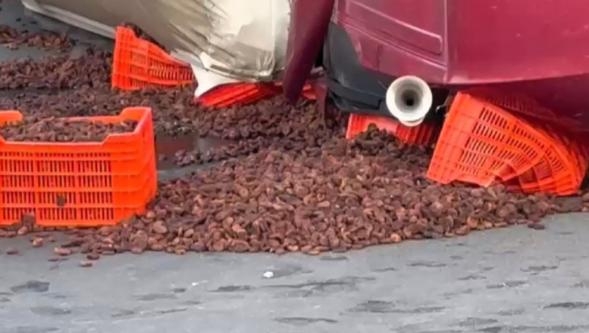 Kayısı Yüklü Tır Devrildi: 1 Yaralı