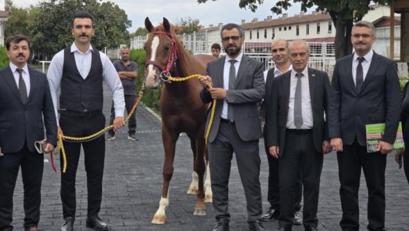 Ağa Fahri 8 Milyon 750 Bin Liraya Satıldı