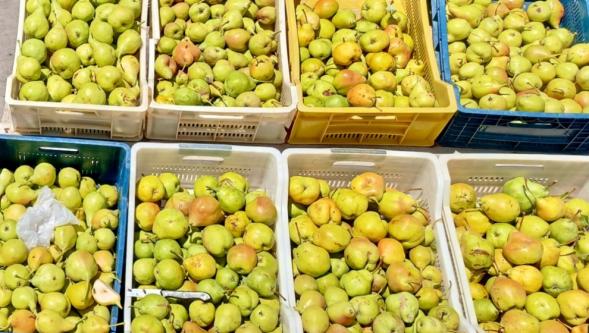 "Bu Armudun Lezzetini, Tadını Hiçbir Yerde Bulamazsınız"