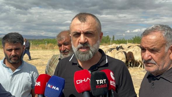 Çoban Ücretleri 50 Bin Liraya Dayandı Ama...