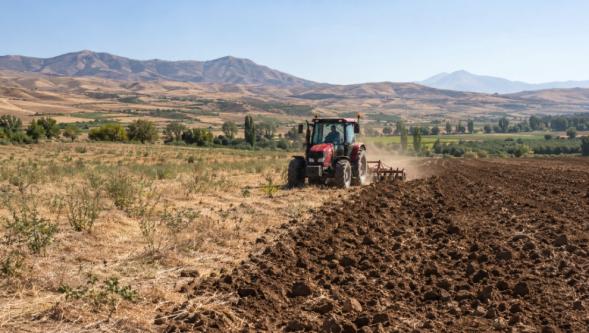 İşlenmeyen Tarım Arazileri Kiraya Verilecek
