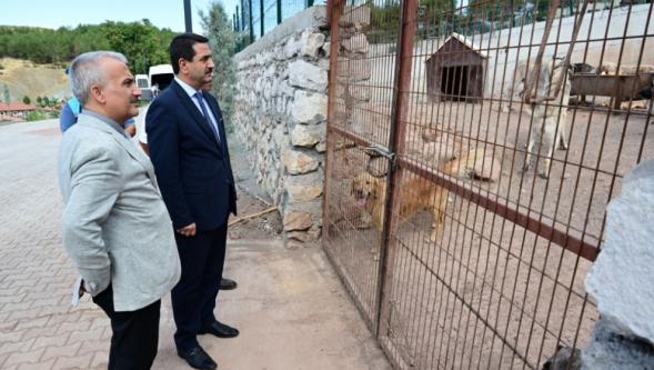 “Şu Anda 350 Hayvanı Misafir Ediyoruz”