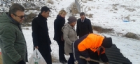 Büyükşehirden sokak hayvanları için barınak