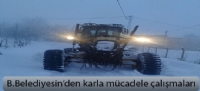 Büyükşehir'den karla mücadele çalışmaları