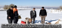 Sokak hayvanları için doğaya yem bırakıldı