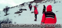 Kayalıklarda mahsur kalan keçi kurtarıldı